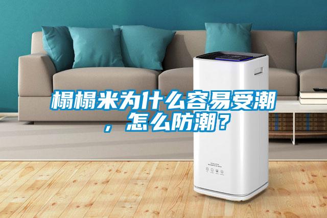 榻榻米為什么容易受潮，怎么防潮？