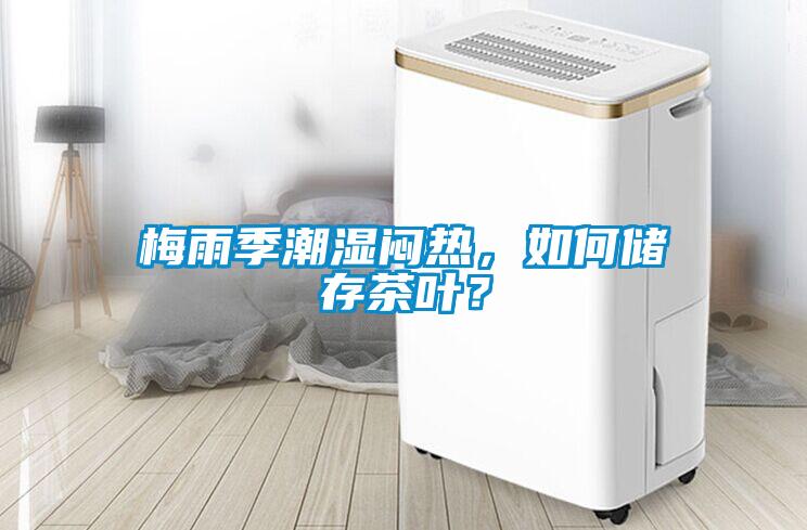 梅雨季潮濕悶熱，如何儲存茶葉？