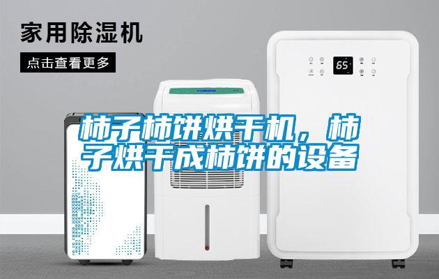 柿子柿餅烘干機(jī)，柿子烘干成柿餅的設(shè)備