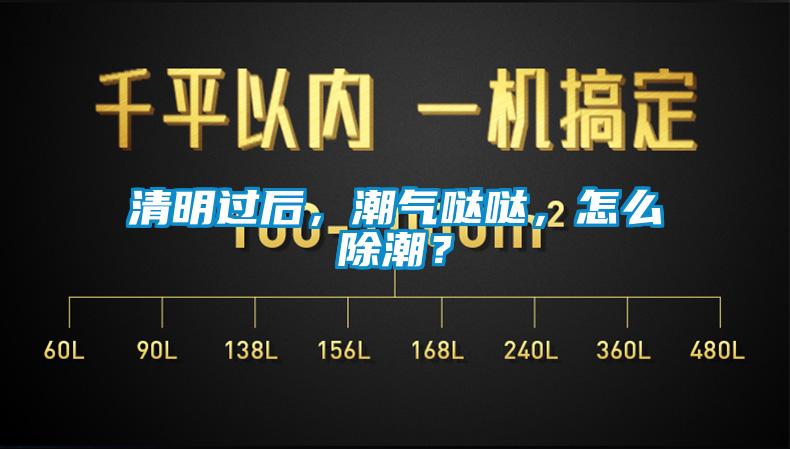 清明過后，潮氣噠噠，怎么除潮？