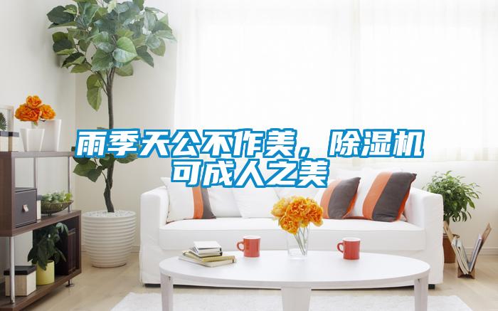 雨季天公不作美，除濕機可成人之美