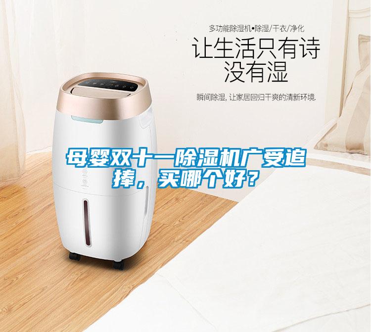 母嬰雙十一除濕機廣受追捧，買哪個好？