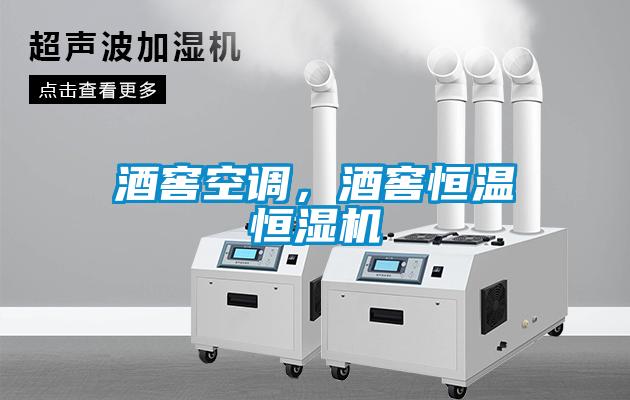酒窖空調(diào)，酒窖恒溫恒濕機(jī)