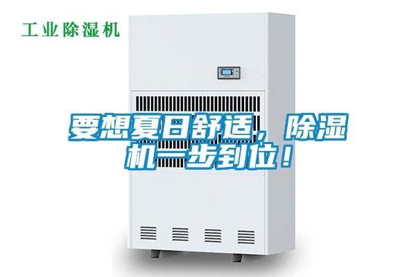 要想夏日舒適，除濕機一步到位！