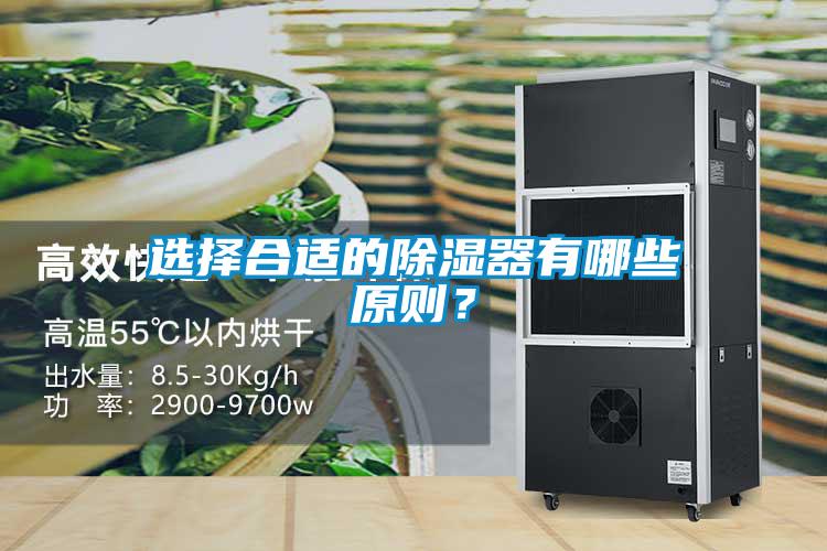 選擇合適的除濕器有哪些原則？