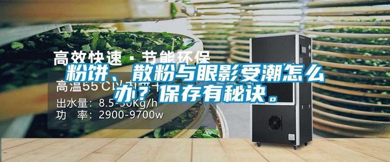 粉餅、散粉與眼影受潮怎么辦？保存有秘訣。