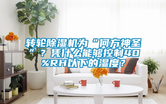 轉(zhuǎn)輪除濕機(jī)為“何方神圣”？憑什么能夠控制40%RH以下的濕度？