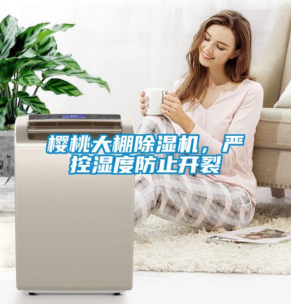 櫻桃大棚除濕機，嚴控濕度防止開裂