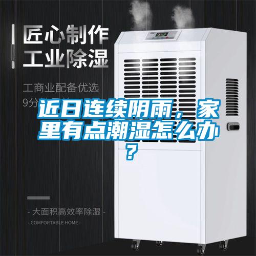 近日連續(xù)陰雨，家里有點(diǎn)潮濕怎么辦？