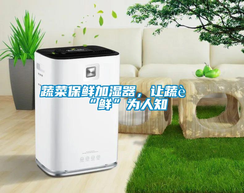 蔬菜保鮮加濕器，讓蔬菜“鮮”為人知