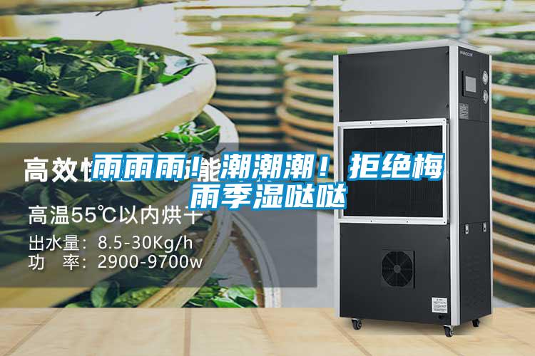 雨雨雨！潮潮潮！拒絕梅雨季濕噠噠