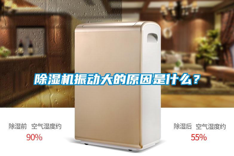 除濕機(jī)振動(dòng)大的原因是什么？