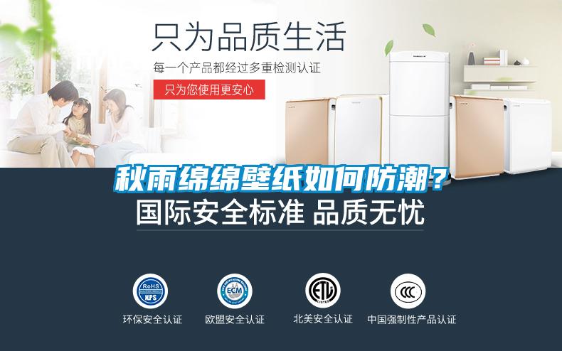 秋雨綿綿壁紙如何防潮？