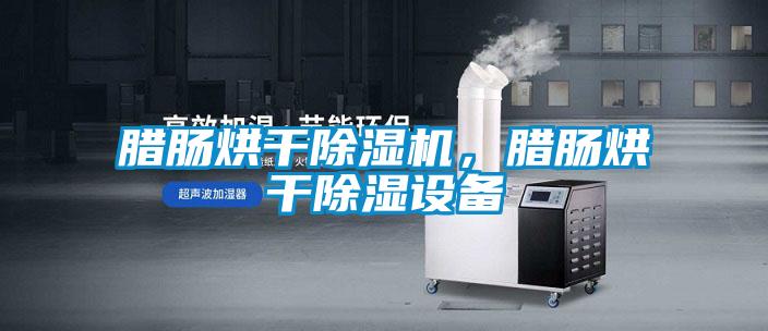 臘腸烘干除濕機(jī)，臘腸烘干除濕設(shè)備