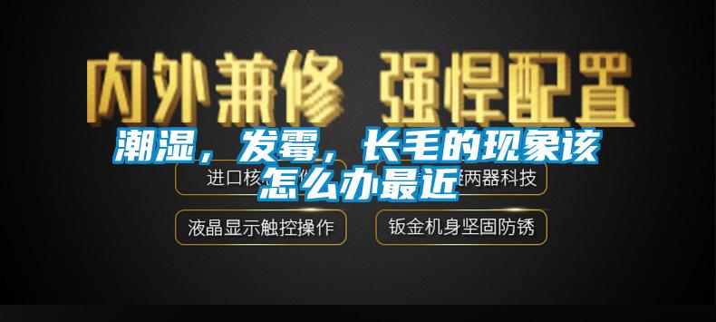 潮濕，發(fā)霉，長毛的現(xiàn)象該怎么辦最近
