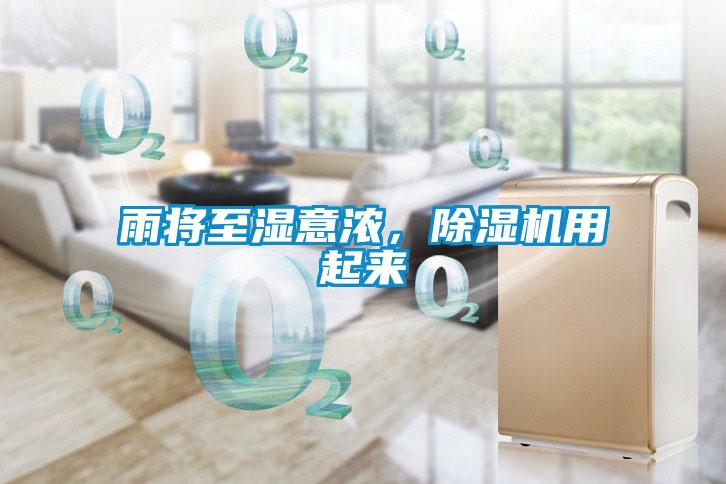 雨將至濕意濃，除濕機用起來