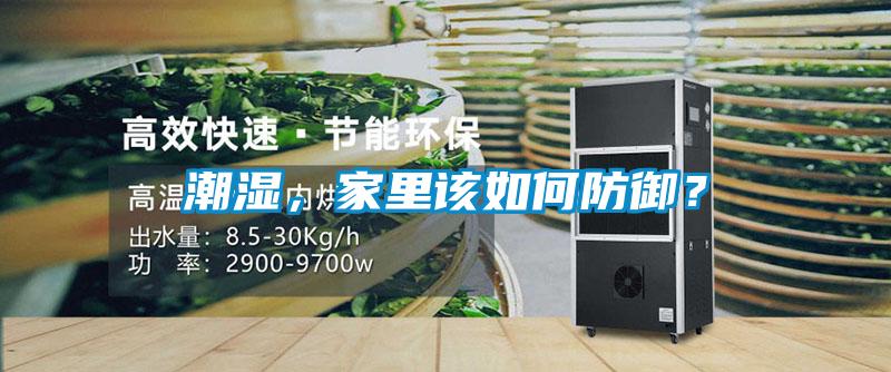 潮濕，家里該如何防御？