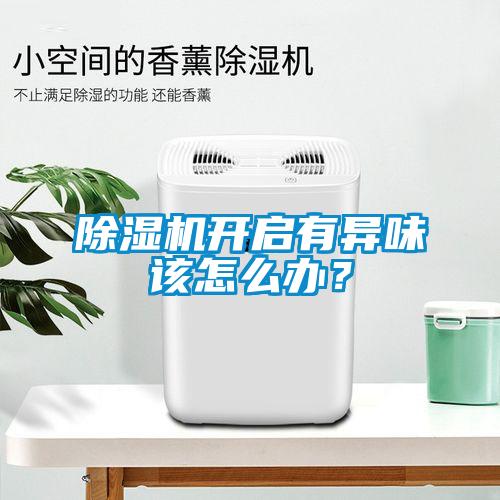 除濕機(jī)開啟有異味該怎么辦？