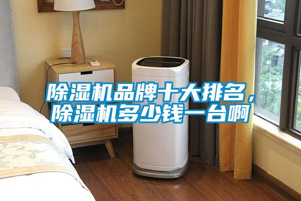 除濕機(jī)品牌十大排名，除濕機(jī)多少錢(qián)一臺(tái)啊