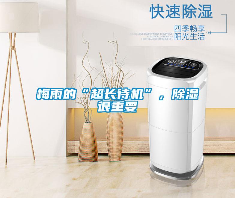 梅雨的“超長待機”，除濕很重要