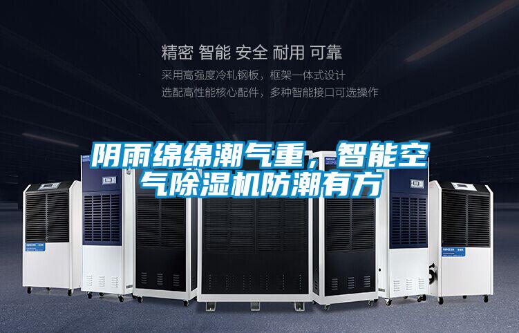 陰雨綿綿潮氣重，智能空氣除濕機(jī)防潮有方