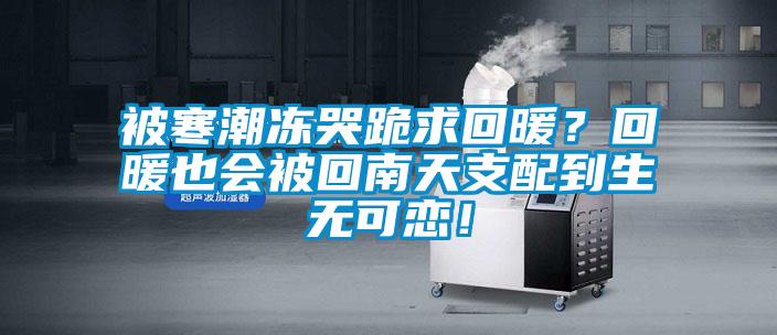 被寒潮凍哭跪求回暖？回暖也會被回南天支配到生無可戀！