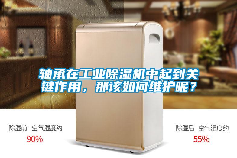 軸承在工業(yè)除濕機(jī)中起到關(guān)鍵作用，那該如何維護(hù)呢？