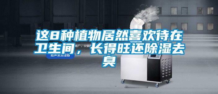 這8種植物居然喜歡待在衛(wèi)生間，長(zhǎng)得旺還除濕去臭