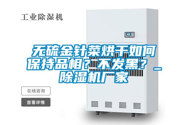 無硫金針菜烘干如何保持品相？不發(fā)黑？_除濕機廠家