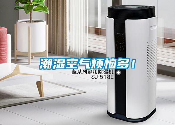 潮濕空氣煩惱多！