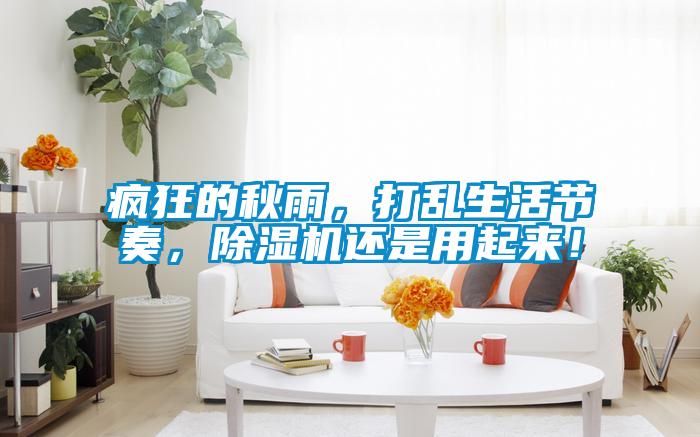 瘋狂的秋雨，打亂生活節(jié)奏，除濕機(jī)還是用起來(lái)！