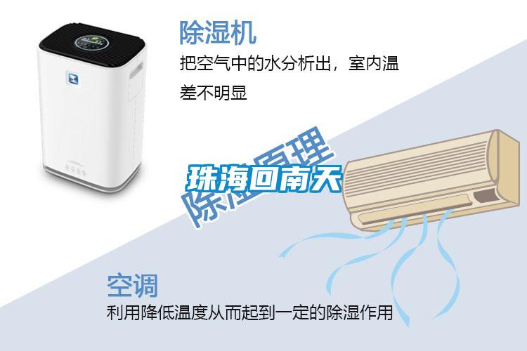 珠?；啬咸?/></p>
						    <p style=