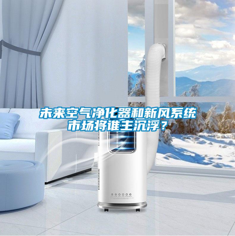 未來空氣凈化器和新風系統(tǒng)市場將誰主沉??？