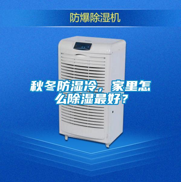 秋冬防濕冷，家里怎么除濕最好？