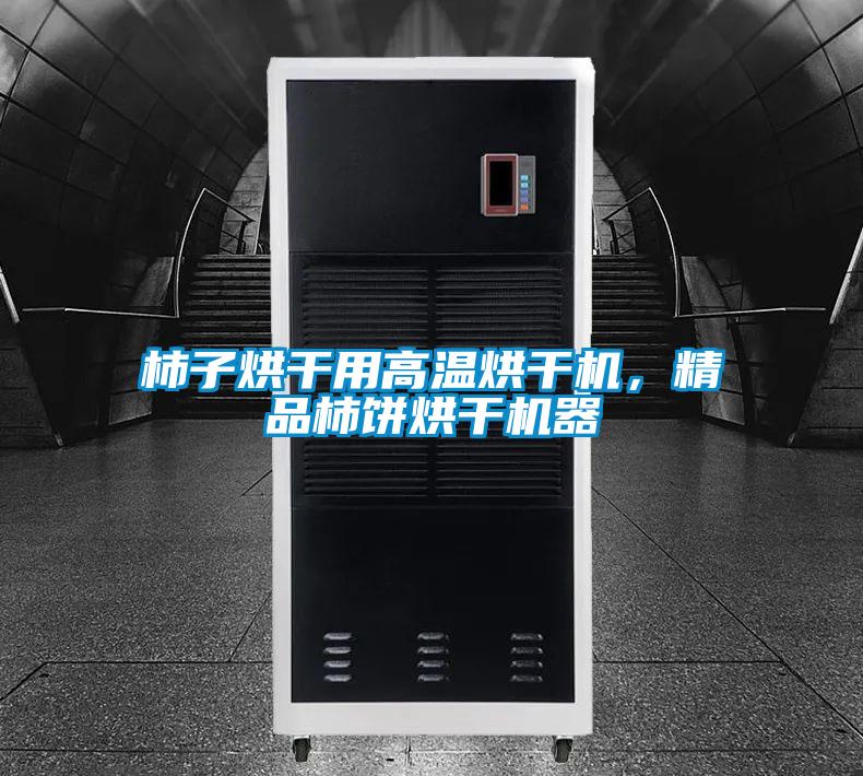 柿子烘干用高溫烘干機，精品柿餅烘干機器