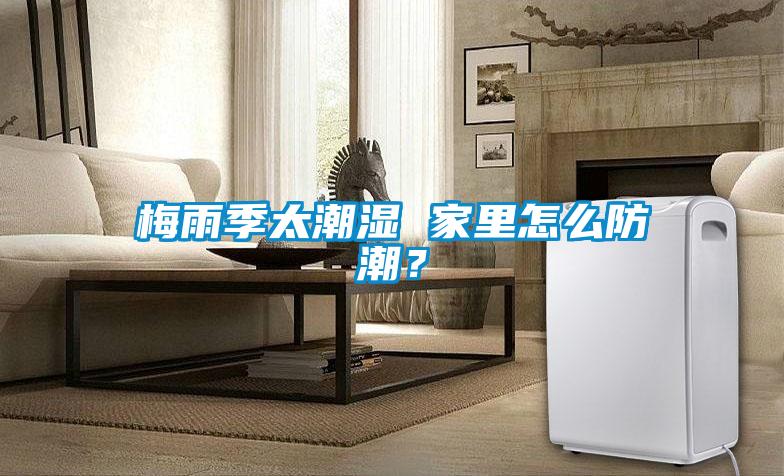 梅雨季太潮濕 家里怎么防潮？