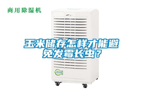玉米儲(chǔ)存怎樣才能避免發(fā)霉長(zhǎng)蟲？