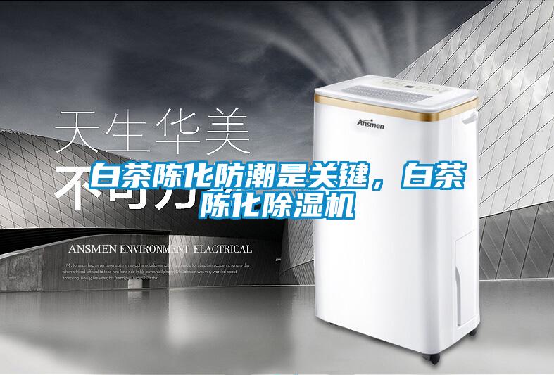 白茶陳化防潮是關(guān)鍵，白茶陳化除濕機(jī)