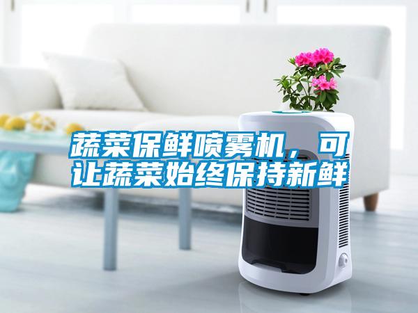 蔬菜保鮮噴霧機(jī)，可讓蔬菜始終保持新鮮