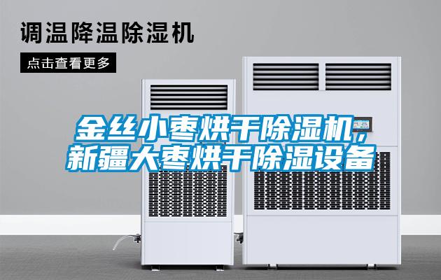 金絲小棗烘干除濕機(jī)，新疆大棗烘干除濕設(shè)備
