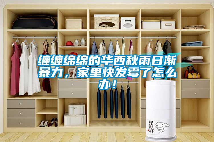 纏纏綿綿的華西秋雨日漸暴力，家里快發(fā)霉了怎么辦！