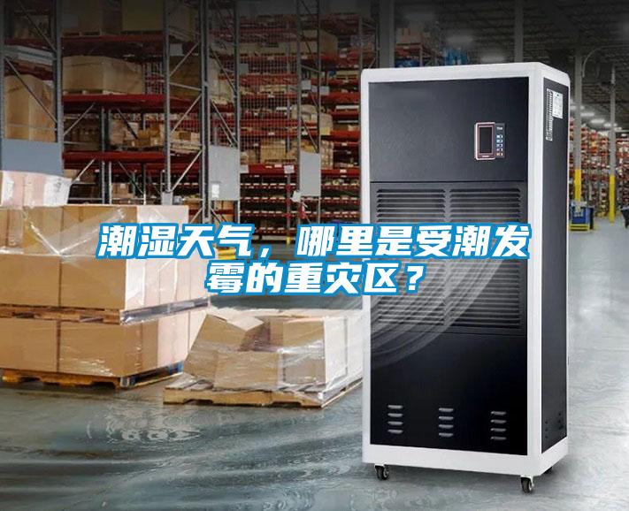 潮濕天氣，哪里是受潮發(fā)霉的重災(zāi)區(qū)？