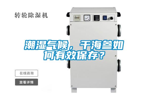 潮濕氣候，干海參如何有效保存？