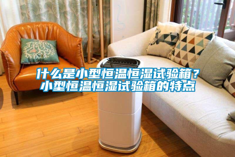 什么是小型恒溫恒濕試驗(yàn)箱？小型恒溫恒濕試驗(yàn)箱的特點(diǎn)