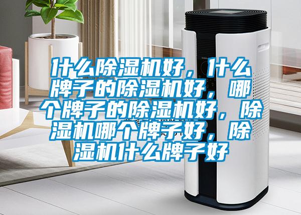 什么除濕機好，什么牌子的除濕機好，哪個牌子的除濕機好，除濕機哪個牌子好，除濕機什么牌子好