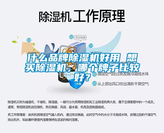 什么品牌除濕機(jī)好用 想買除濕機(jī)，哪個(gè)牌子比較好？