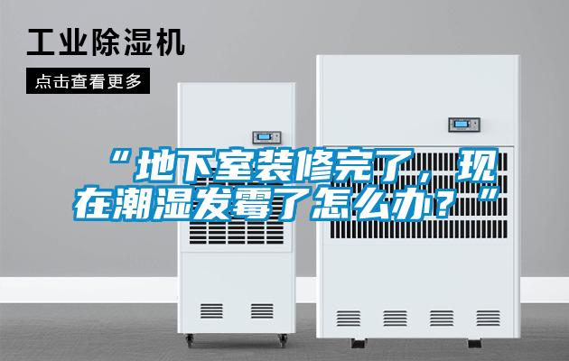 “地下室裝修完了，現(xiàn)在潮濕發(fā)霉了怎么辦？”
