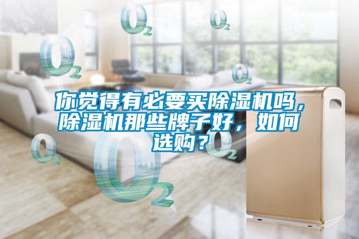 你覺得有必要買除濕機(jī)嗎，除濕機(jī)那些牌子好，如何選購？