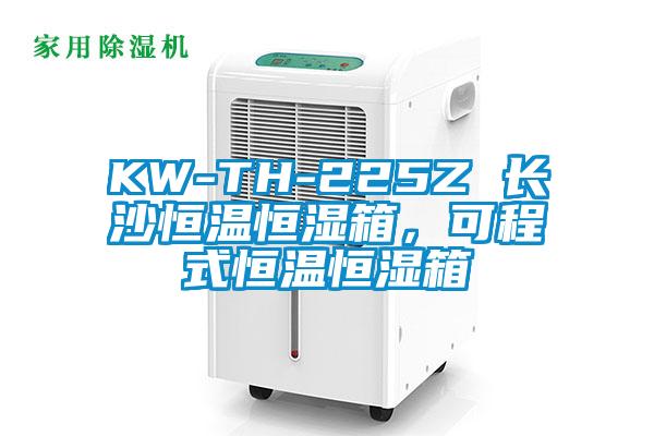 KW-TH-225Z 長沙恒溫恒濕箱，可程式恒溫恒濕箱