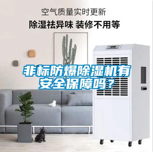 非標(biāo)防爆除濕機(jī)有安全保障嗎？